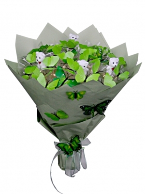 Işıklı Yeşil Kelebek Rüyası