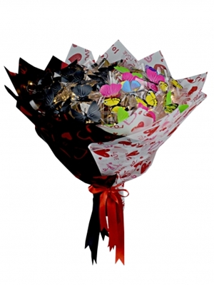 S.Ö & S.S Kalbimdeki Kelebekler