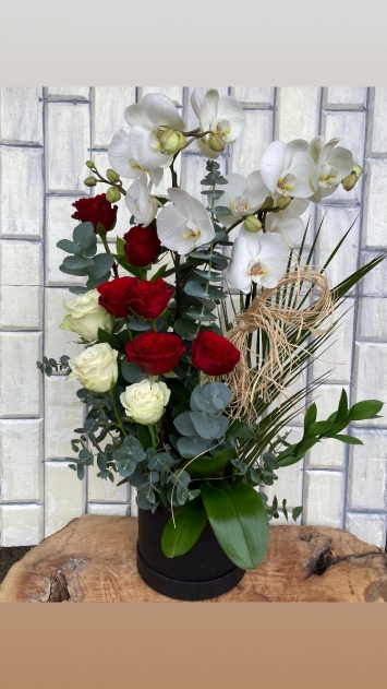 Orkide ve güllerin dansı