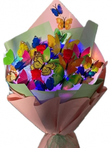 Işıklı Rengarenk Kelebek Rüyası