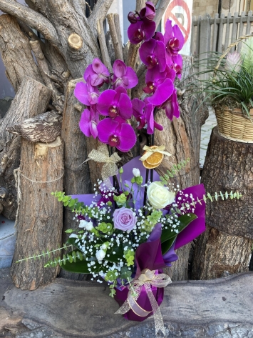 Mor Orkide Arajmanı
