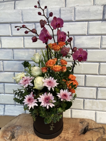 Ateş orkide ve güllerin dansı