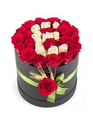 Kutuda Aşkın Harfi 3