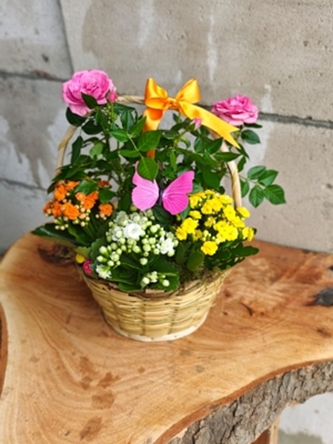 Sepette Gül ve Kalanşo Arajmanı