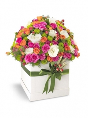 Kutuda Güllerin Dansı