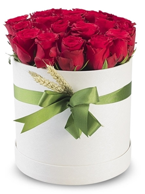 Kutuda Kırmızı Güller 3