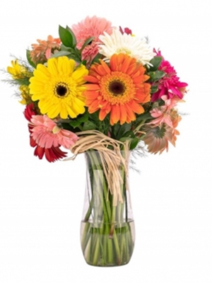 Vazoda Renkli Gerberalar